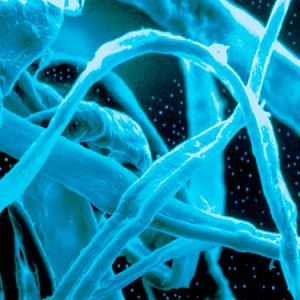 Pre-co-Floc® Cellulose Fibers Filter Aids & Additives
