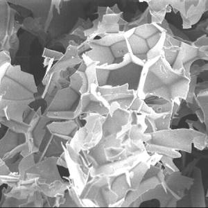 Celatom® Perlite